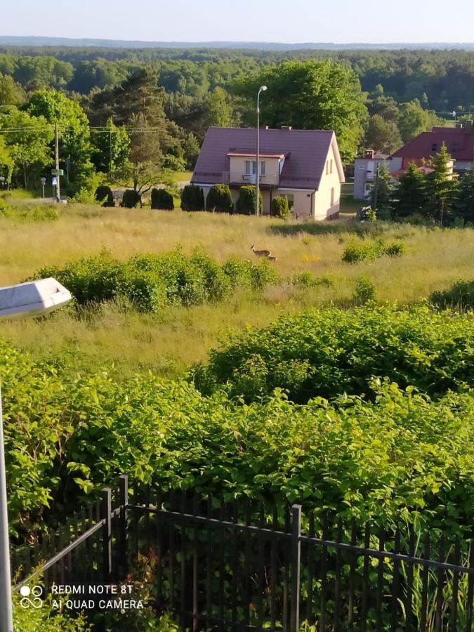 Apartament Mocik Jastrzębia Góra Zewnętrze zdjęcie